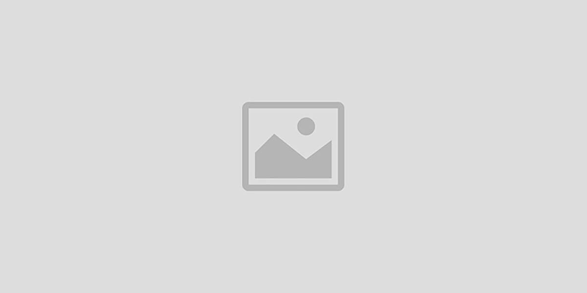 Pearls Bee Trade Corporation